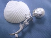 �p�[���@�L���[�r�b�N�W���R�j�A�@�t�����[�@�ԁ@�u���[�`