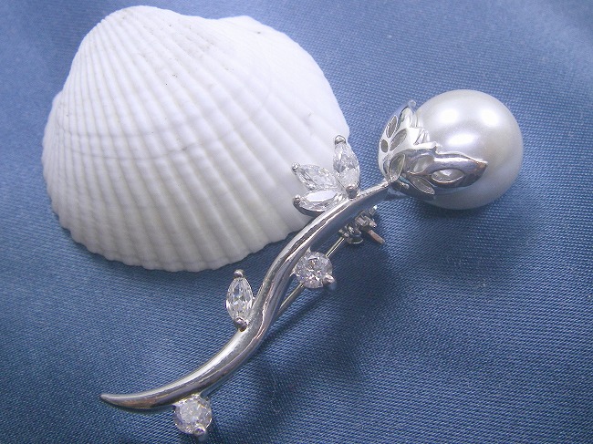 �p�[���@�u���[�`