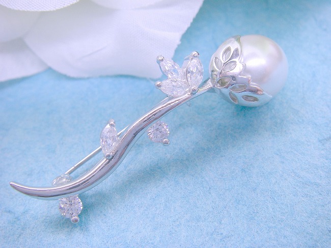 �p�[���@�u���[�`