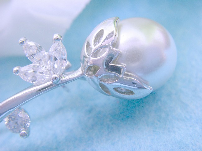 �p�[���@�u���[�`