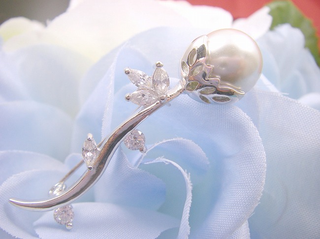 �p�[���@�u���[�`