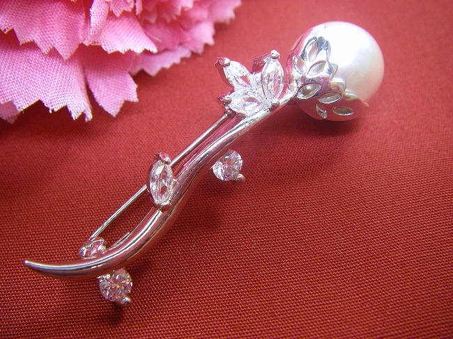 �p�[���@�u���[�`