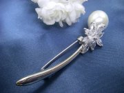 �p�[���@�L���[�r�b�N�W���R�j�A�@�t�����[�@�ԁ@�u���[�`