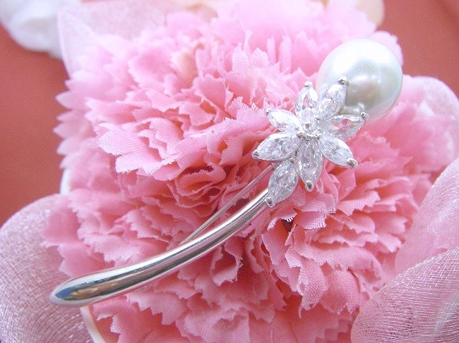 �p�[���@�u���[�`