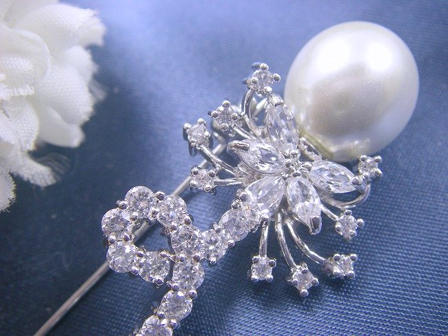 �p�[���@�u���[�`