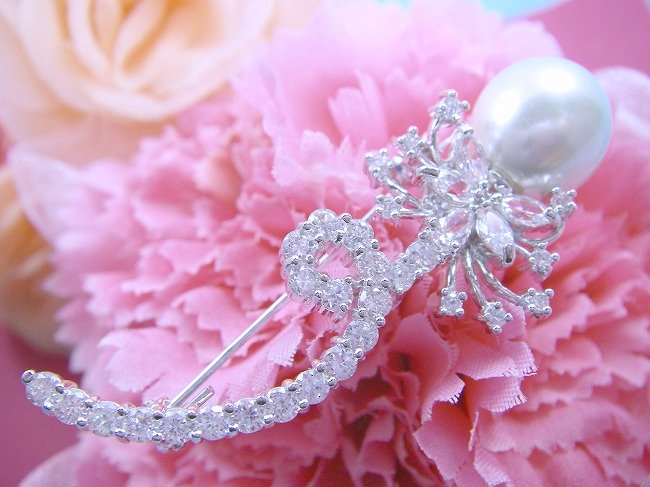 �p�[���@�u���[�`