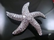 �p�[���@�u���[�`