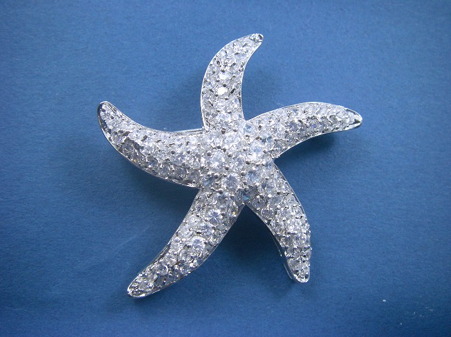 �L���[�r�b�N�W���R�j�A�@�u���[�`�@�����`�[�t