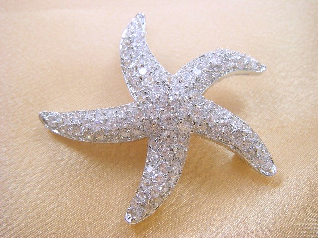 �L���[�r�b�N�W���R�j�A�@�u���[�`�@�����`�[�t