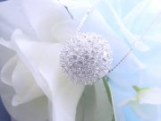 �p���F�@�y���_���g