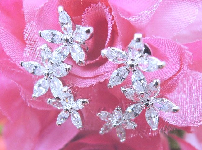 cz�A�N�Z�T���[ �t�����[�E���`�[�t�E�C�������O