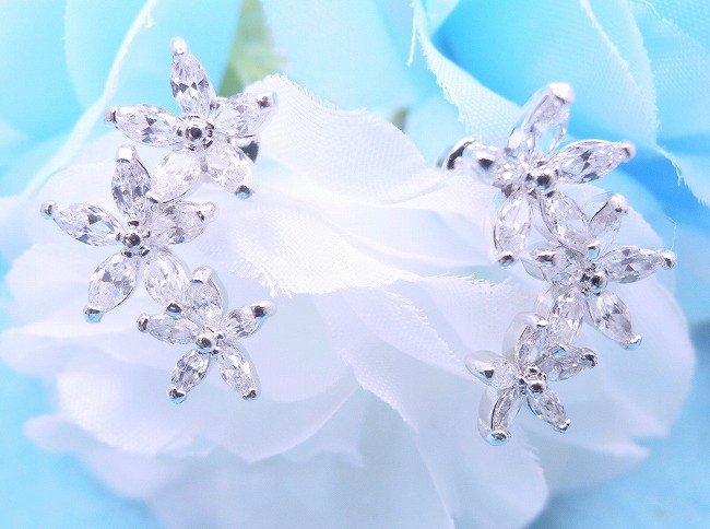 cz�A�N�Z�T���[ �t�����[�E���`�[�t�E�C�������O