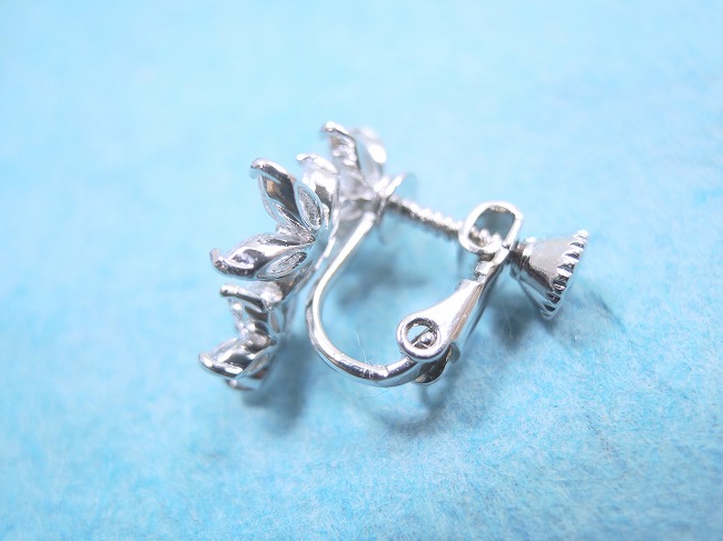 cz�A�N�Z�T���[ �t�����[�E���`�[�t�E�C�������O