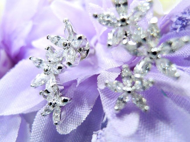 cz�A�N�Z�T���[ �t�����[�E���`�[�t�E�C�������O