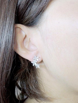 cz�A�N�Z�T���[�@���r�[�̃C�������O