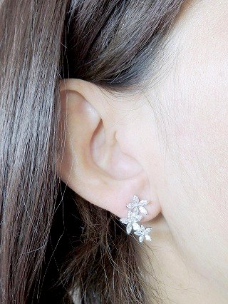 cz�A�N�Z�T���[�@���r�[�̃C�������O