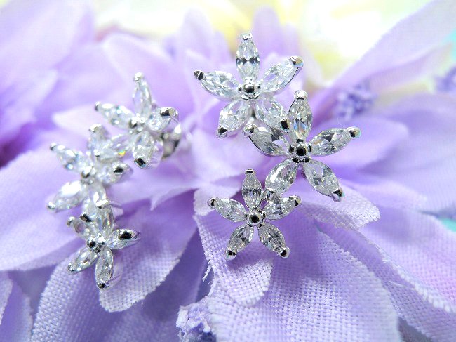 cz�A�N�Z�T���[ �t�����[�E���`�[�t�E�C�������O