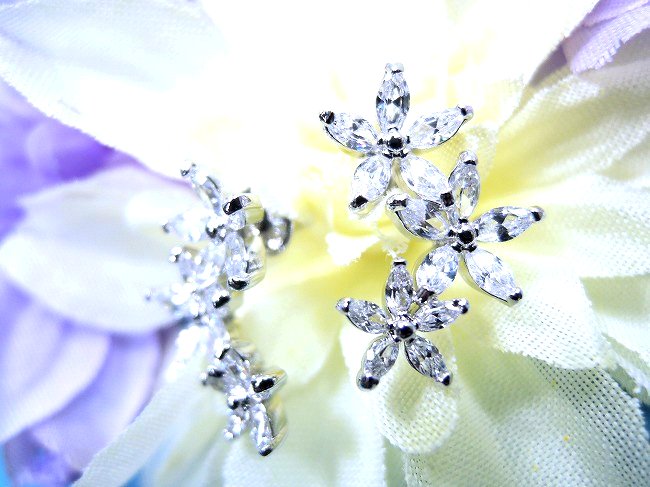 cz�A�N�Z�T���[ �t�����[�E���`�[�t�E�C�������O