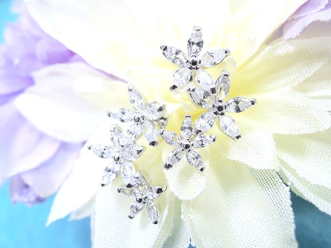 cz�A�N�Z�T���[ �t�����[�E���`�[�t�E�C�������O