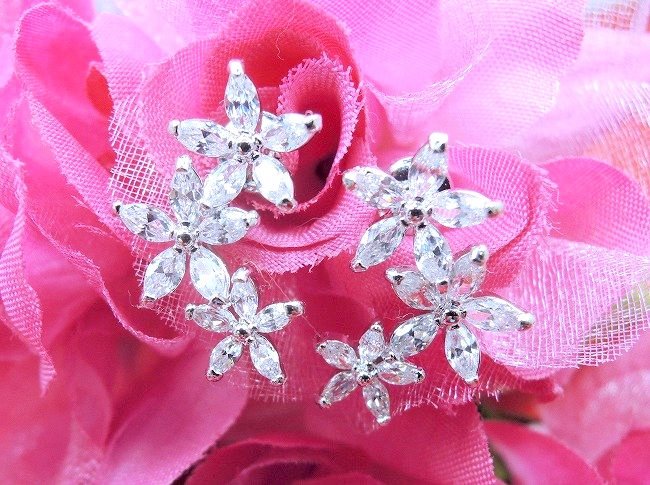 cz�A�N�Z�T���[ �t�����[�E���`�[�t�E�C�������O