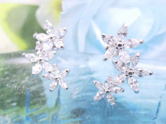 cz�A�N�Z�T���[ �t�����[�E���`�[�t�E�C�������O