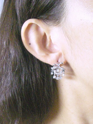 cz�A�N�Z�T���[ �t�����[�E���`�[�t�E�C�������O