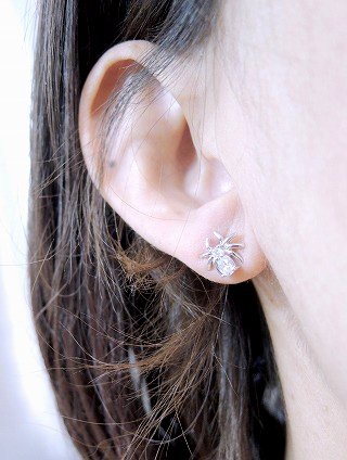 �L���[�r�b�N�W���R�j�A�@�w偁@�X�p�C�_�[�@�s�A�X