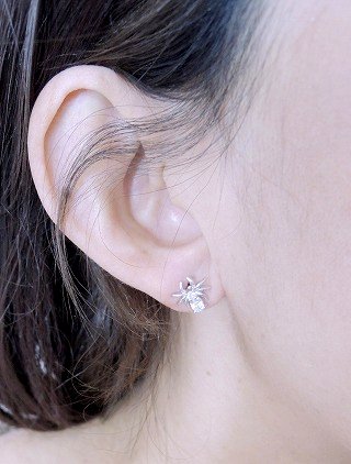 �L���[�r�b�N�W���R�j�A�@�w偁@�X�p�C�_�[�@�s�A�X