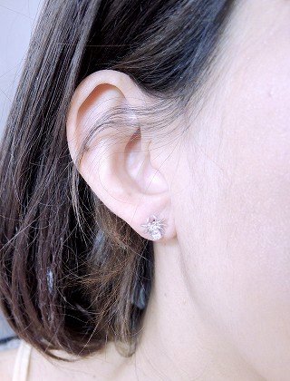 �L���[�r�b�N�W���R�j�A�@�w偁@�X�p�C�_�[�@�s�A�X