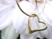 SV�@�I�[�v���n�[�g�@�@�y���_���g