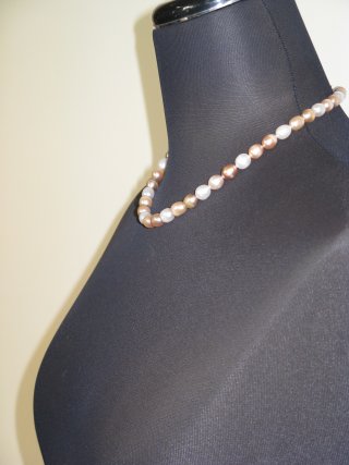 �L���[�r�b�N�W���R�j�A�̃u���[�`