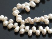 CZ�@�L���[�r�b�N�W���R�j�A�@�}�W�����J�p�[���@�y���_���g