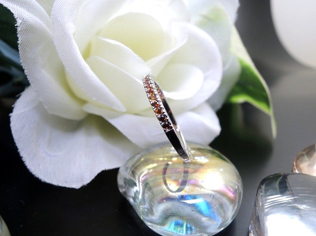 �G�^�j�e�B�E�����O