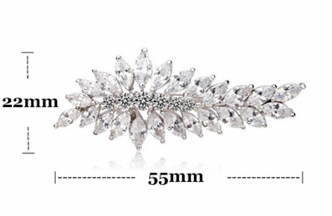 �L���[�r�b�N�W���R�j�A�̃w�A�E�A�N�Z�T���[