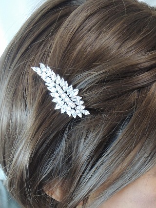 �L���[�r�b�N�W���R�j�A�̃w�A�E�A�N�Z�T���[