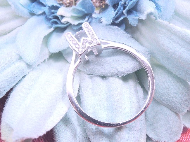 �L���[�r�b�N�W���R�j�A�@�@�����O