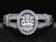 CZ�@�L���[�r�b�N�W���R�j�A�@�w�ց@�G���Q�[�W�����O�iJ20085)