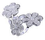 �L���[�r�b�N�W���R�j�A�@�����O�@����w�ց@�G���Q�[�W�����O�iJ20094)