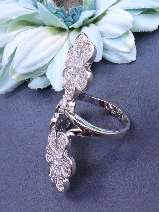 �p���F�@�����O