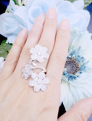 �p���F�@�����O