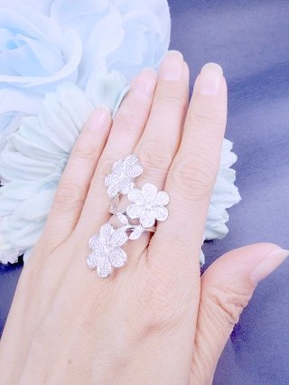 �p���F�@�����O