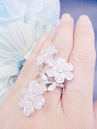 �p���F�@�����O