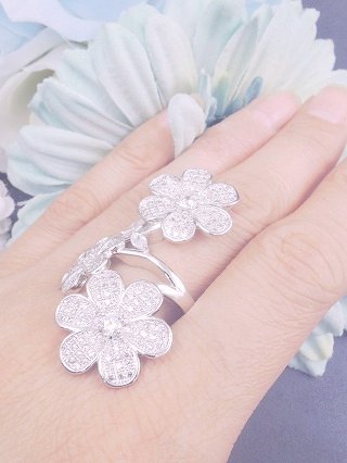 �p���F�@�����O