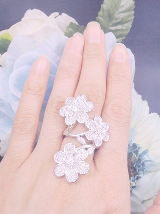 �p���F�@�����O