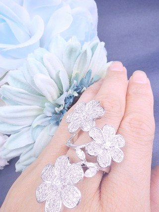 �p���F�@�����O