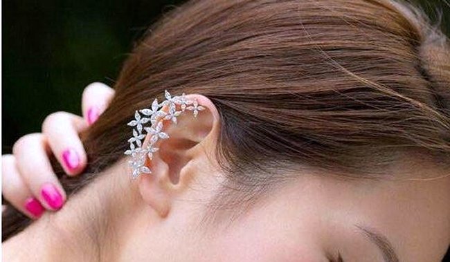 CZ�C���[�J�[�t�E�s�A�X �t�����[���`�[�t