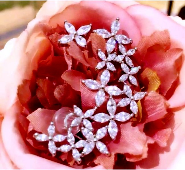 CZ�C���[�J�[�t�E�s�A�X �t�����[���`�[�t