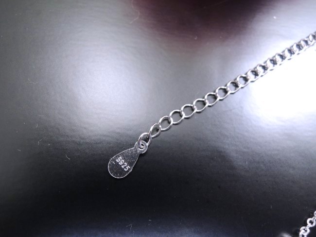 �A�N�Z�T���[�@�l�b�N���X