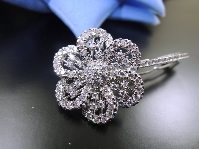 �L���[�r�b�N�W���R�j�A�̃w�A�E�A�N�Z�T���[