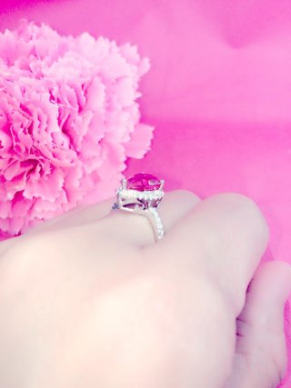 �T�t�@�C�A�@�y�A�V�F�C�v�@�����O�@�L���[�r�b�N�W���R�j�A